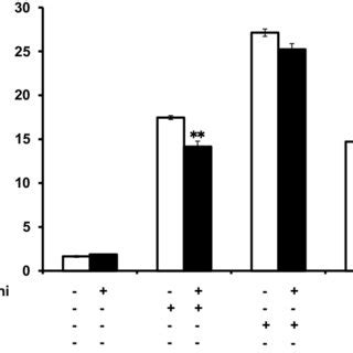 Effects Of Matsufushi Extract On Catecholamine Secretion A And Ca