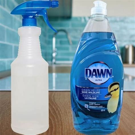 Unlock The Potential Of Dawn Dish Soap And Lemon Juice With These