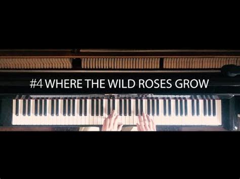 Where The Wild Roses Grow Solo Piano Interpretation Bj Rn