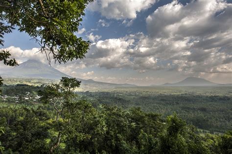 The Latest News Updates from Virunga National Park