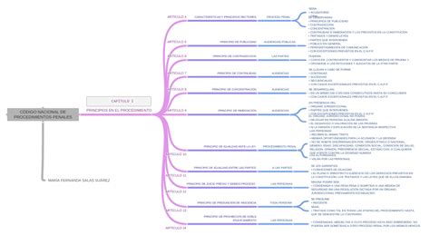 CÓdigo Nacional De Procedimientos Penales Coggle Diagram