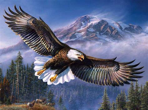 Download Mountain Eagles - WallpaperTip