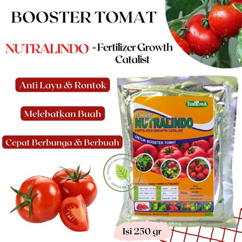 Jual Pupuk Organik Tomat Booster Tomat Cepat Berbunga Dan Berbuah