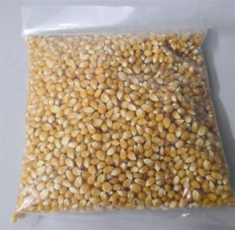 Jagung Popcorn Mentah 1 Kg Lazada Indonesia