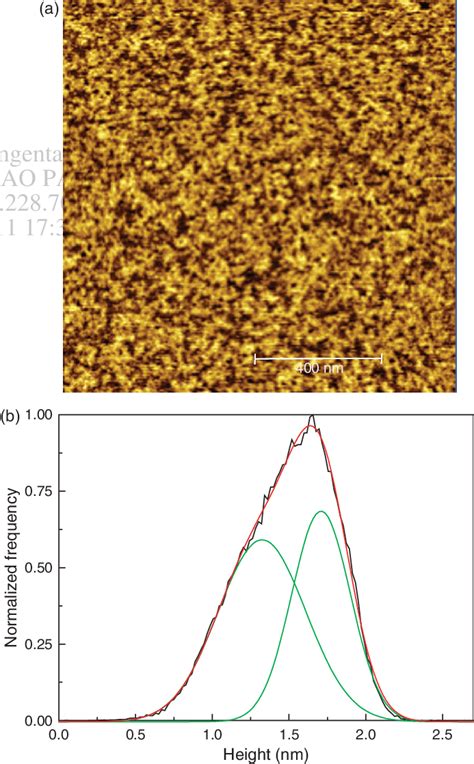 A Topographic AFM Image 1 1 M 2 Of A LB Monolayer Of The Mixture