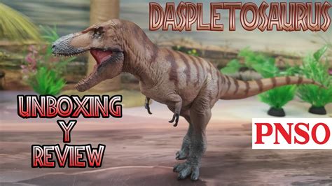 Unboxing Y Review Cole El Daspletosaurus Dinosaurios Pnso