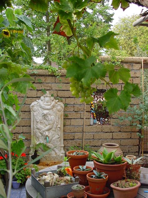 Tuin Met Mediterrane Uitstraling Aardoom Hoveniers