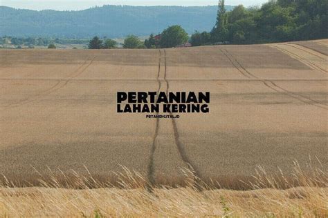 Pertanian Lahan Kering : Pengertian, Ciri, Contoh, dan Cara ...