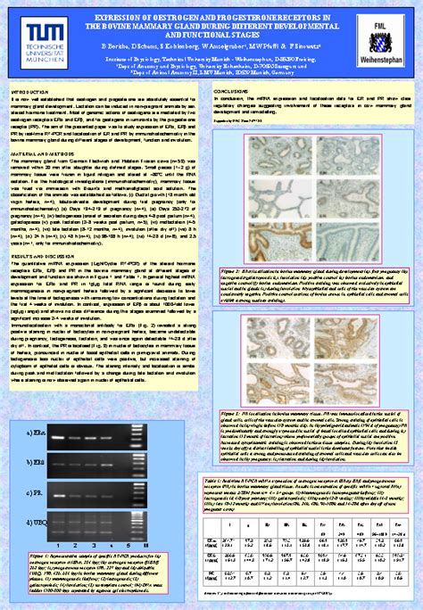 Posterboard E On Gene Quantification Info