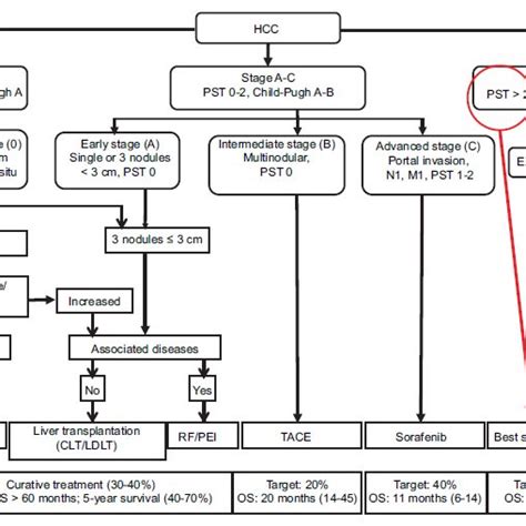 Barcelona Clinic Liver Cancer staging system. HCC: hepatocellular ...