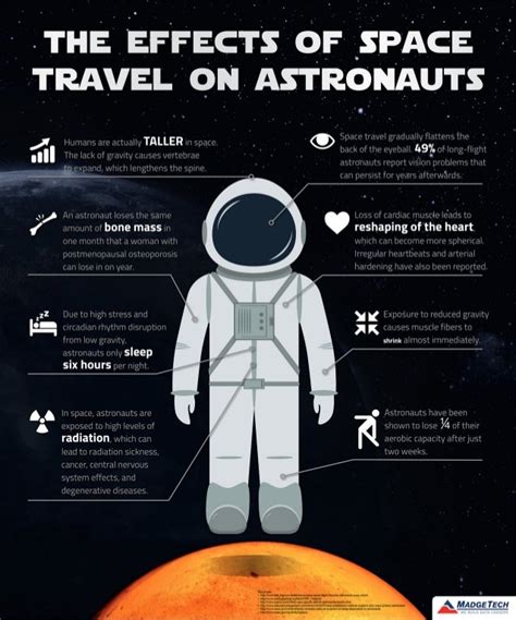 Astronauts in Space Infographic