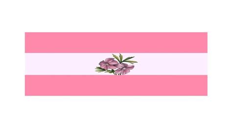 Sapphic Pride Pan Flag 3x5 Ft Flags And Banners 90x150cm 100d Polyester Printed Perfect