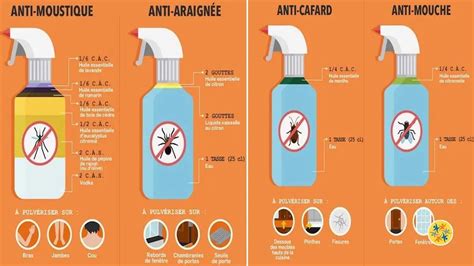 Repousser Les Insectes Avec R Pulsifs Naturels Et Efficaces