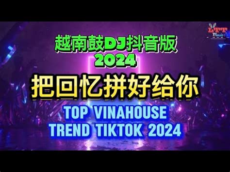 Top Song Chinese Vinahouse Hot Tiktok 把回忆拼好给你 越南鼓DJ抖音版 Mixtape