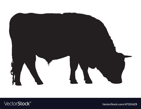 Bull silhouette Royalty Free Vector Image - VectorStock