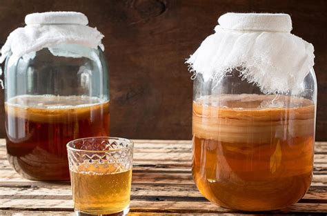 Kombucha Manfaat Kesehatan Dari Minuman Fermentasi Dan Probiotik Ini