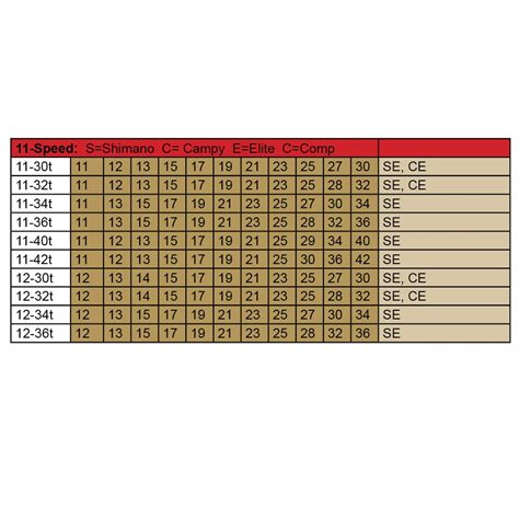 Bicycle Cassette Sizes At Gary Cadwell Blog