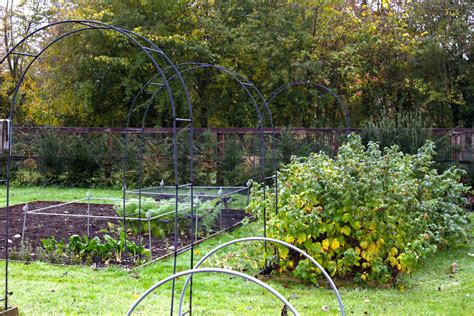 Managing An Organic Vegetable Garden – Part 2 – The Soil