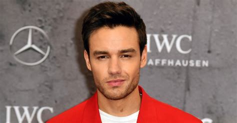 Este Era El Patrimonio De Liam Payne Cantante Que Muri En Argentina