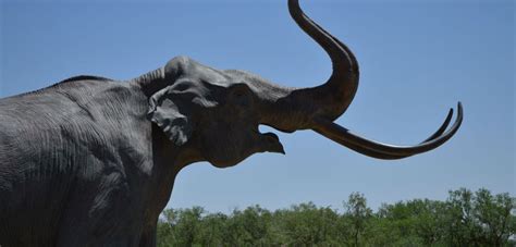 Top Museums in Lubbock - Lubbock in the Loop