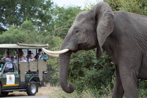 4 Day Combo Kruger Park Safari