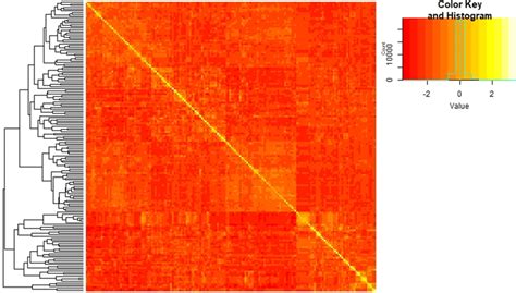 Heat Map Depicting Genomic Relationships For Canola Lines Where