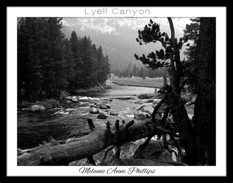 Lyell Canyon | Melanie Anne Phillips