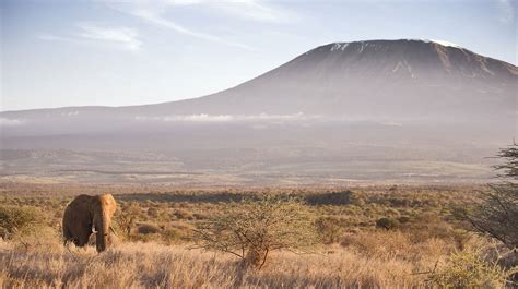 Amboseli National Park | Bench Africa