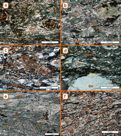 Thin Section Photographs Of Typical Microstructures In Four