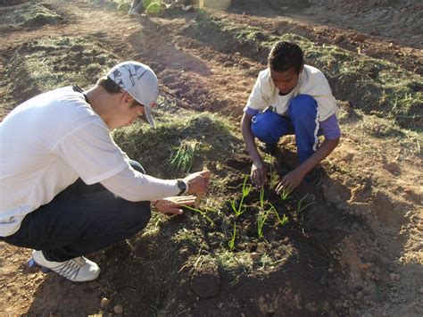 Jovem Aprendiz Rural Guararema Transplante Das Mudas Da Sementeira