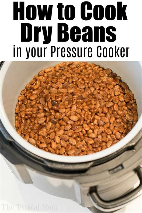 Perfectly Cooked Beans Instant Pot Cooking Times Guide