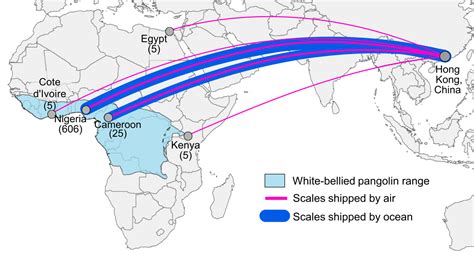 Map Reveals Supply Chain of Pangolin Trafficking