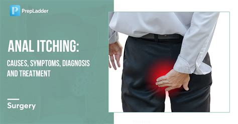 Anal Itching Causes Symptoms Diagnosis And Treatment