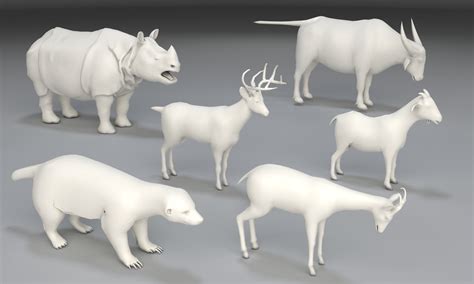 Animal 3D model - TurboSquid 1297738