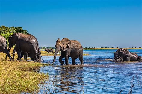 Okavango River - WorldAtlas