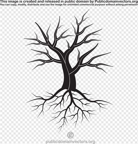 Silueta De Un árbol Seco Png Pngwing