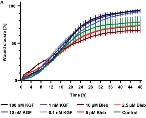 Wound Healing Assay Kinetic Analysis PromoCell PromoCell