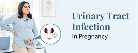 Urinary Tract Infection In Pregnancy