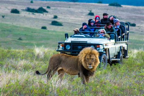 South African Safari with Kids near the Garden Route - Trekaroo Family ...