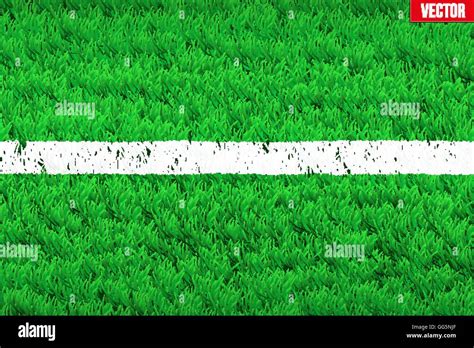 White Line On Sport Grass Field Stock Vector Image And Art Alamy