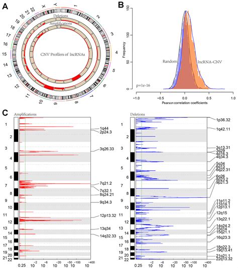 Systematic Identification Of LncRNA Based Prognostic Biomarkers For