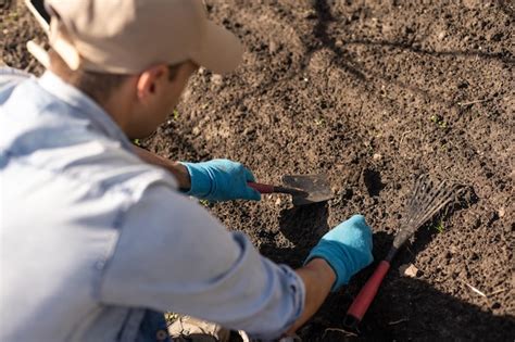 Premium Photo | Farmer in the vegetable garden, gardening tools