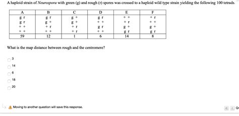 Solved A Haploid Strain Of Neurospora With Green G And Chegg