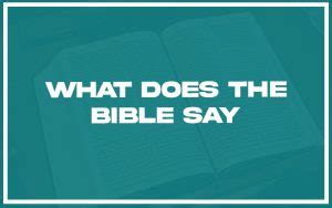 What Does The Bible Say About Same Sex Marriages 31 Verses Explained Christianity Path