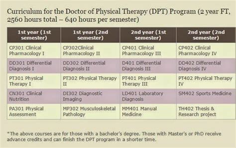 Sports Physical Therapy Masters Programs - currentmaster