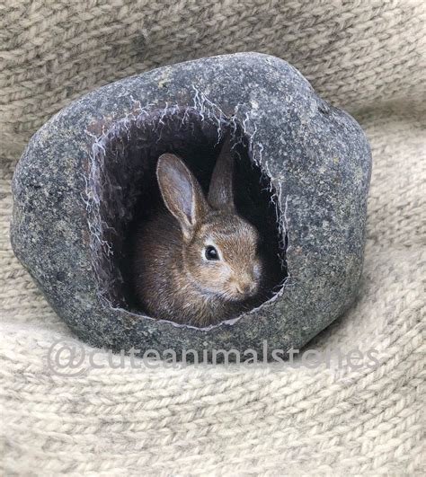 Realistic Rock Painting Rabbit Stone Rabbit Art Cute Animal Luxury