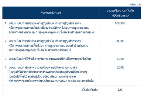 บริษัท กรุงเทพประกันภัย จำกัด มหาชน ประกันภัย Bkiwebentry