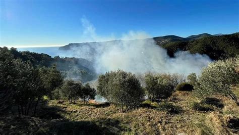 Spotorno Incendio Boschivo In Localit Beixi La Stampa