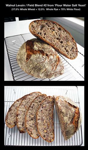 Ken Forkish S Walnut Levain Bread Whole Wheat Flickr