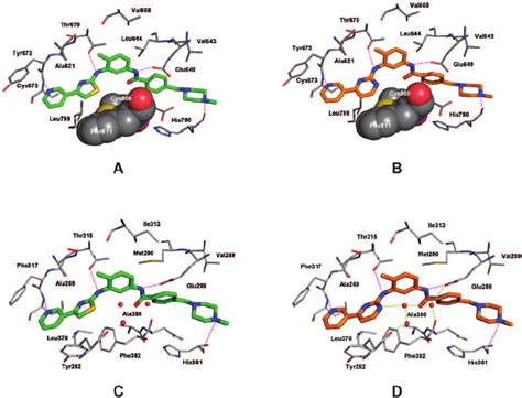 Docking Of Masitinib To Human Kit And Abl Comparison With Imatinib Download Scientific Diagram